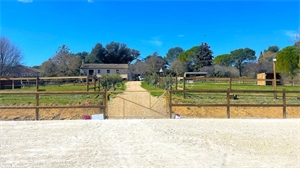 propriete equestre à la vente -   83460  LES ARCS, surface 121 m2 vente propriete equestre - UBI437009618